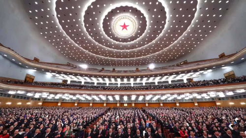 代表委员共商网络视听节目发展新路径