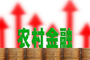 金融滚动 中国日报网在信息网络传播视听节目中的角色与影响